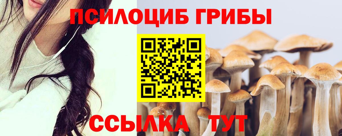 Галлюциногенные грибы прущие грибы  наркота  Алушта  Вход с VPN  Галлюциногенные грибы Psilocybine cubensis 