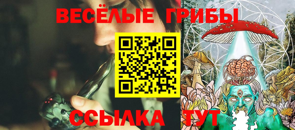 Галлюциногенные грибы прущие грибы Алушта